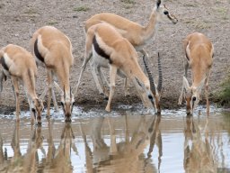 Western_Corridor2009-128